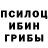 Галлюциногенные грибы мицелий One Rock