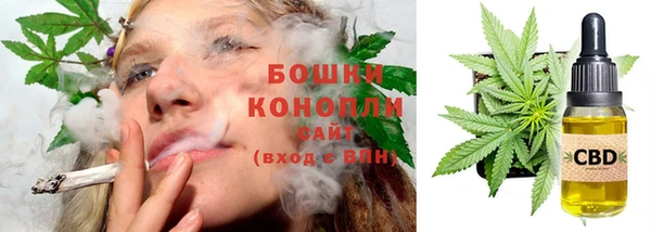 ешки Каменногорск