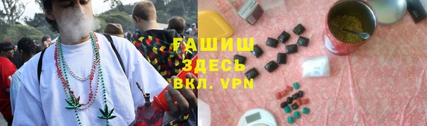 шишки Каменка
