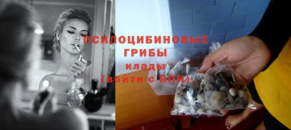 каннабис Инта