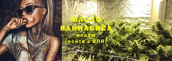 шишки Каменка
