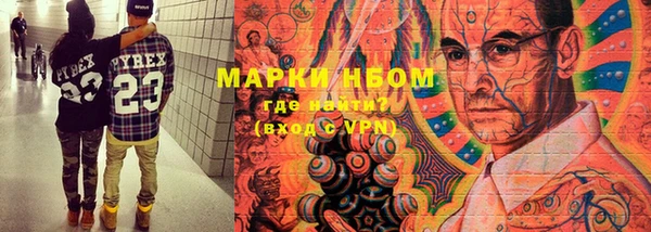 прущие грибы Зеленодольск
