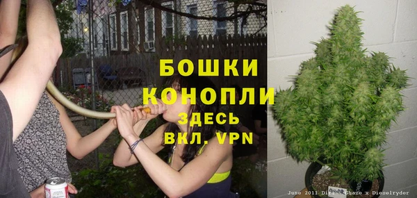 стафф Иннополис