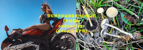 стафф Иннополис