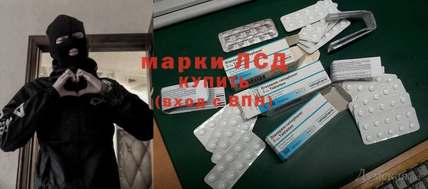 шишки Каменка