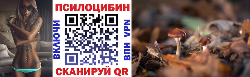 hydra как войти  Клин  Псилоцибиновые грибы MAGIC MUSHROOMS 
